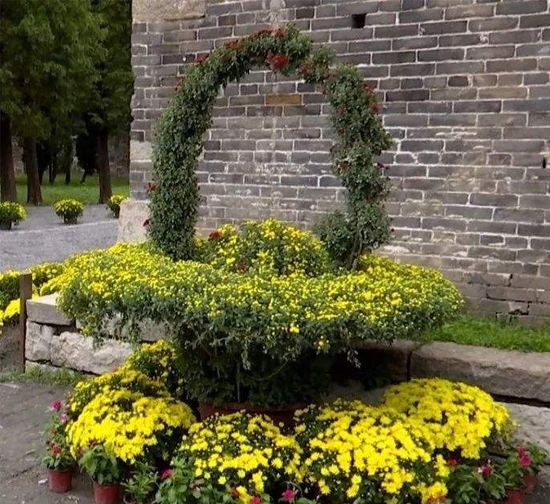 菊花造型設計